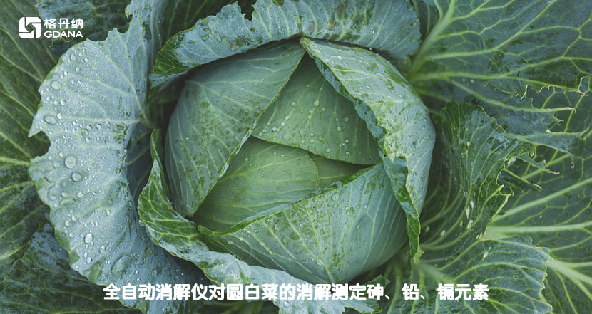 全自動消解儀對圓白菜的消解測定砷、鉛、鎘元素